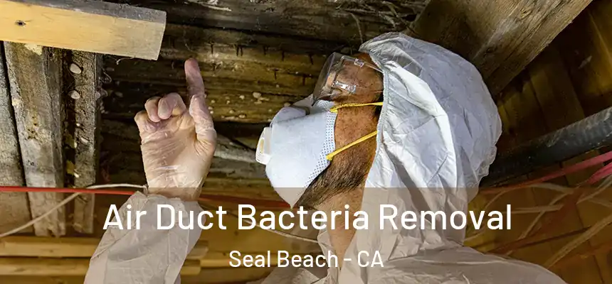 Air Duct Bacteria Removal Seal Beach - CA