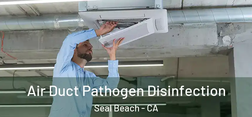  Air Duct Pathogen Disinfection Seal Beach - CA