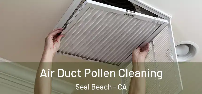  Air Duct Pollen Cleaning Seal Beach - CA