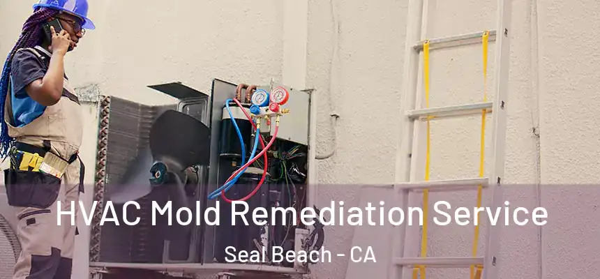 HVAC Mold Remediation Service Seal Beach - CA