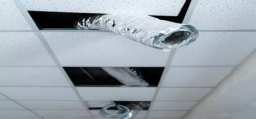 Our Air Duct Pet Hair Removal Services in Seal Beach, CA