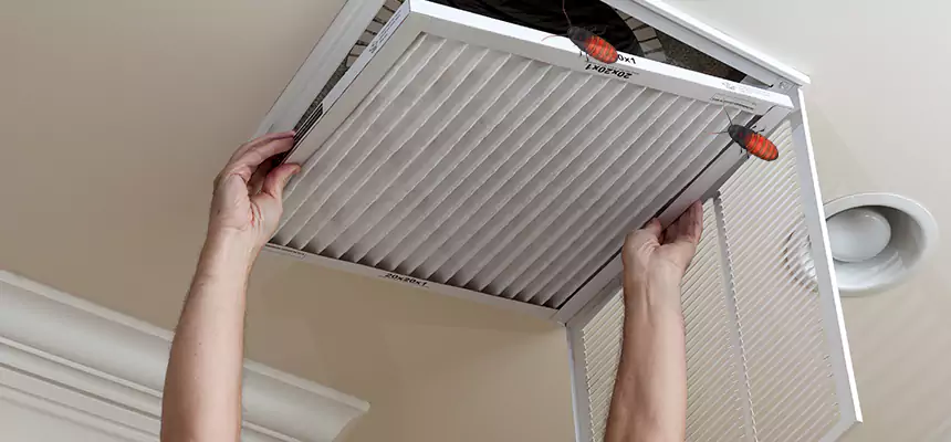 Our Insect Removal from Air Ducts Services in Seal Beach, CA