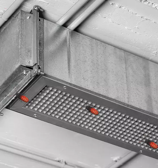About Air Duct Cockroach Removal in Seal Beach, CA