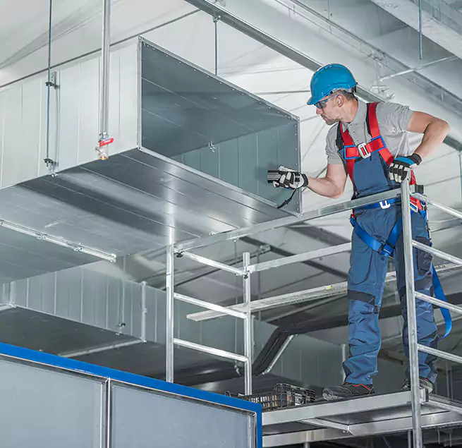 Why Homeowners & Businesses Trust Us in Seal Beach, CA?