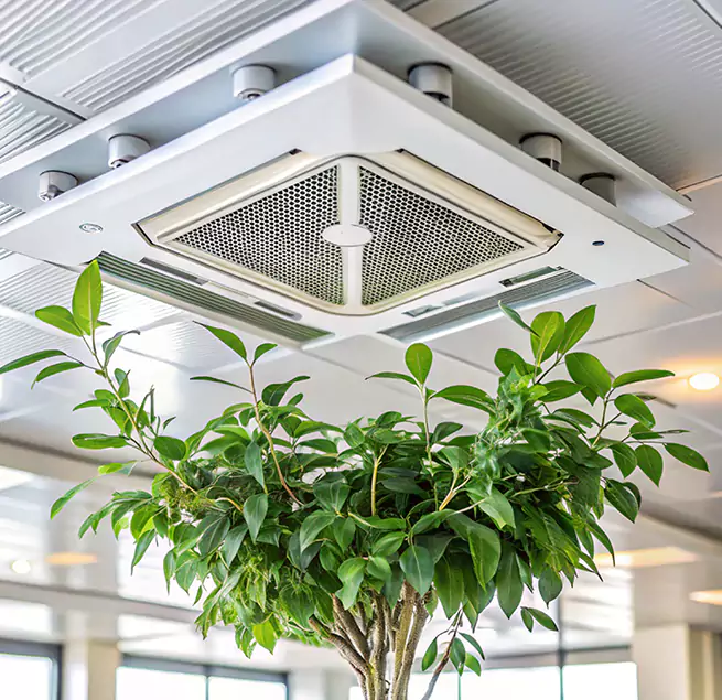 Why Homeowners & Businesses Trust Us in Seal Beach, CA