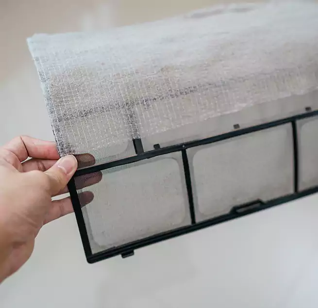 Why Homeowners & Businesses Trust Us in Seal Beach, CA?