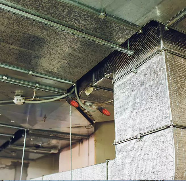 Why Homeowners & Businesses Trust Us Seal Beach, CA?