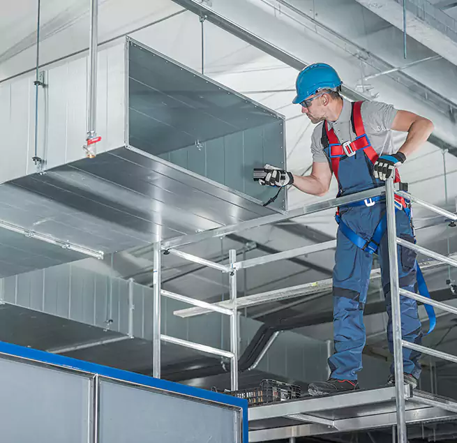 Why Homeowners & Businesses Trust Us in Seal Beach, CA?